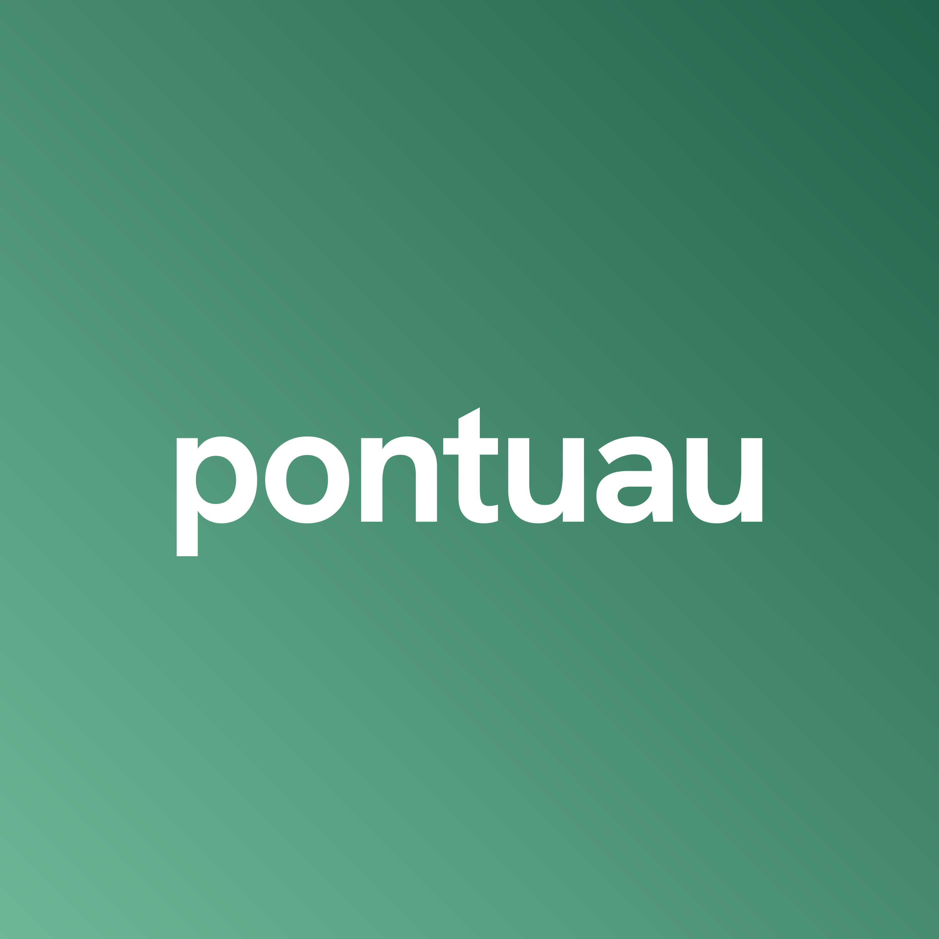 Logo do Pontuau: wordmark em branco sobre fundo verde